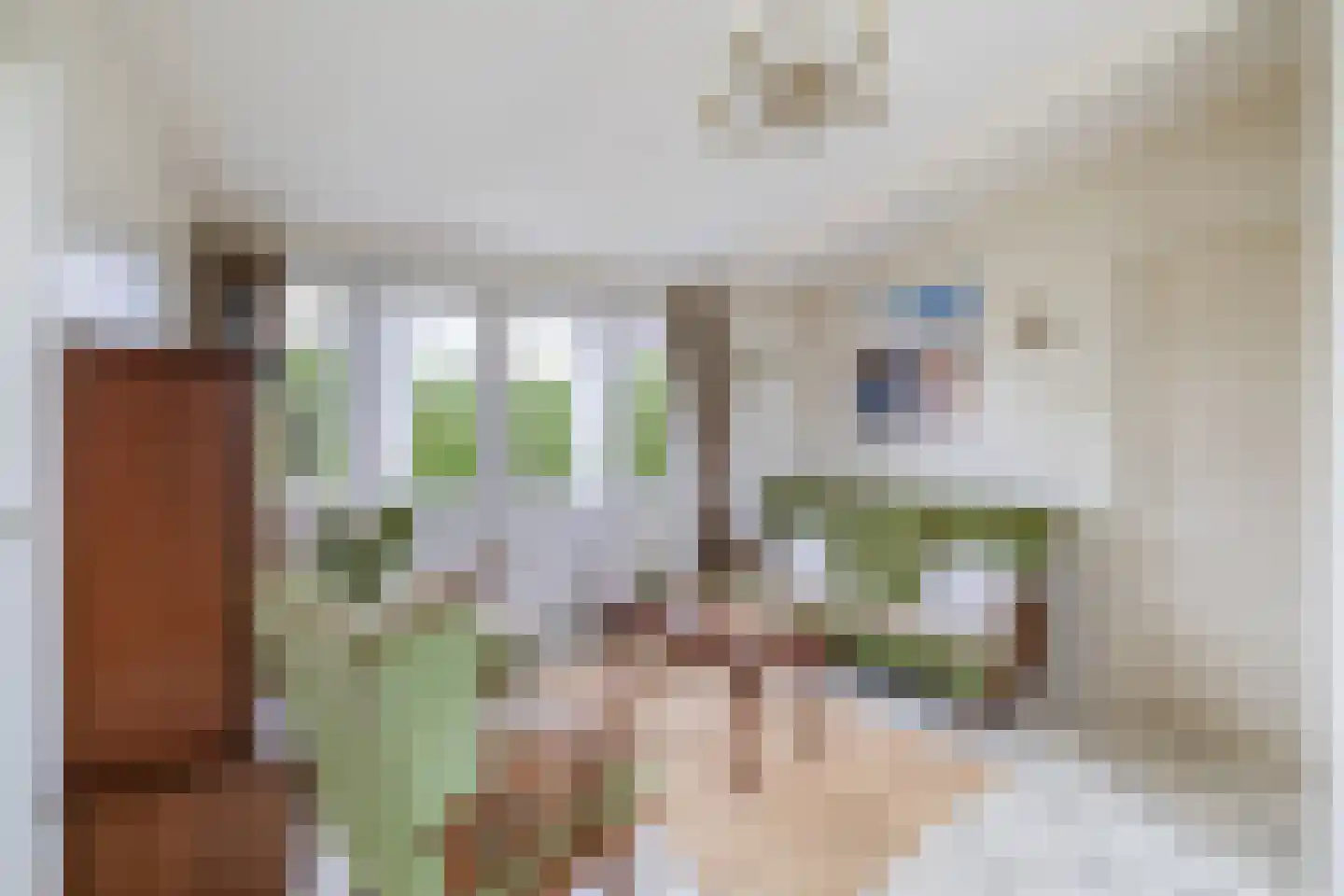 Het Oude Nieuwland 150 Ouddorp thumbnail 34