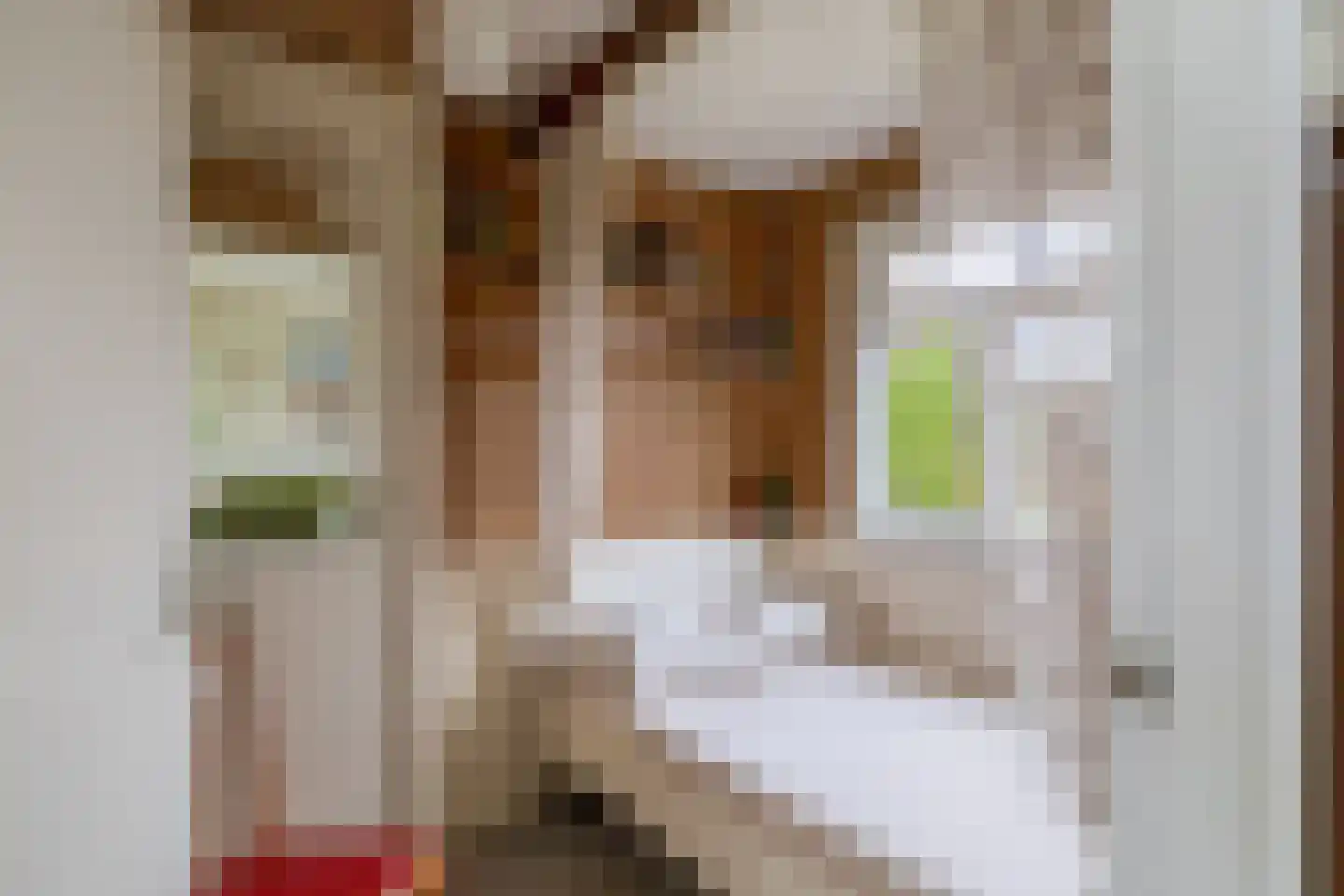 Het Oude Nieuwland 150 Ouddorp thumbnail 40