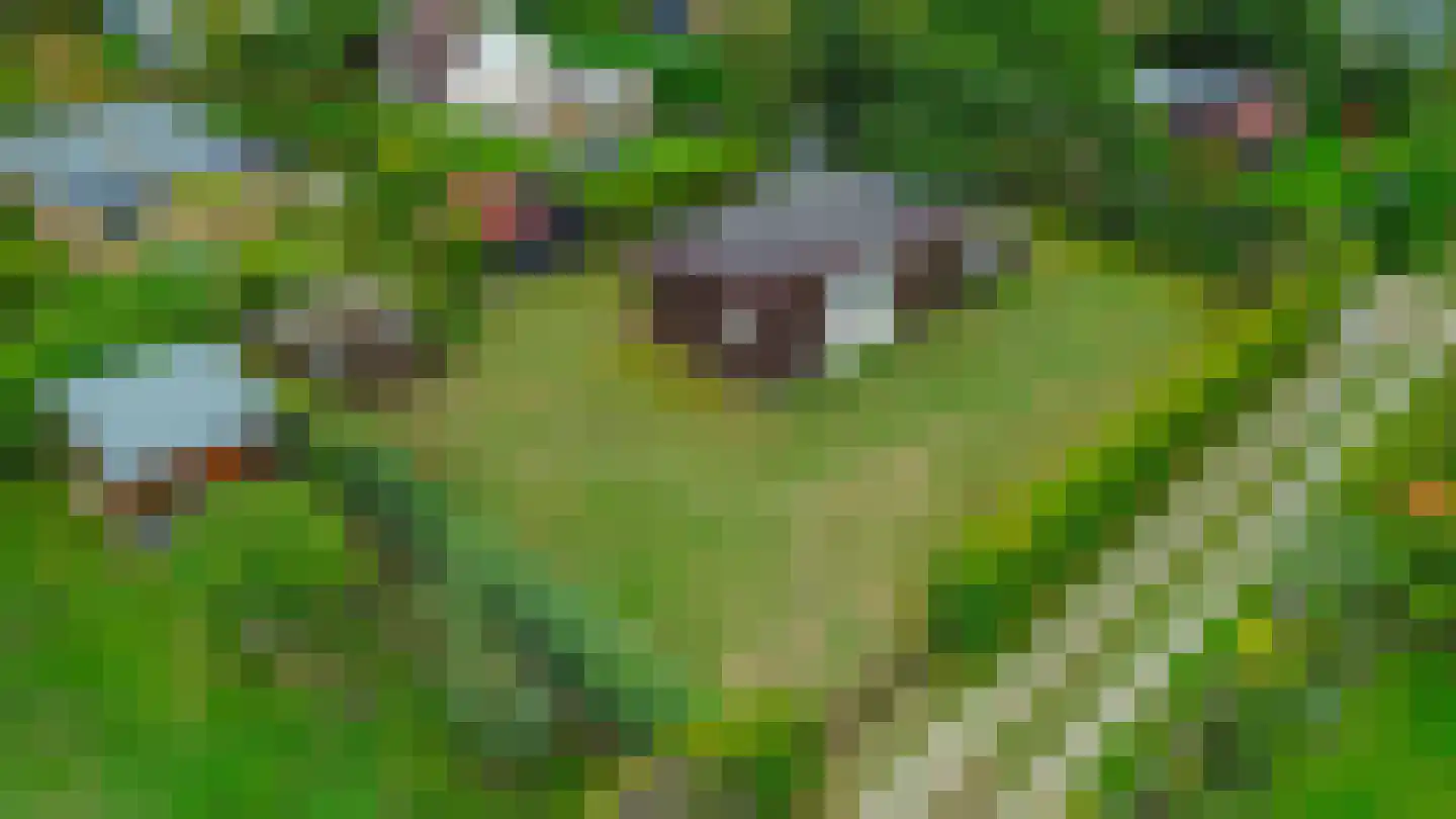 Het Oude Nieuwland 150 Ouddorp thumbnail 48