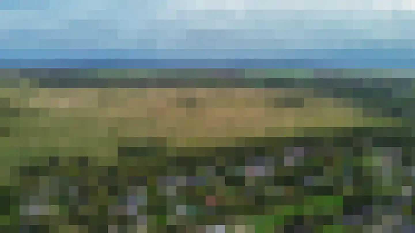 Het Oude Nieuwland 150 Ouddorp thumbnail 59