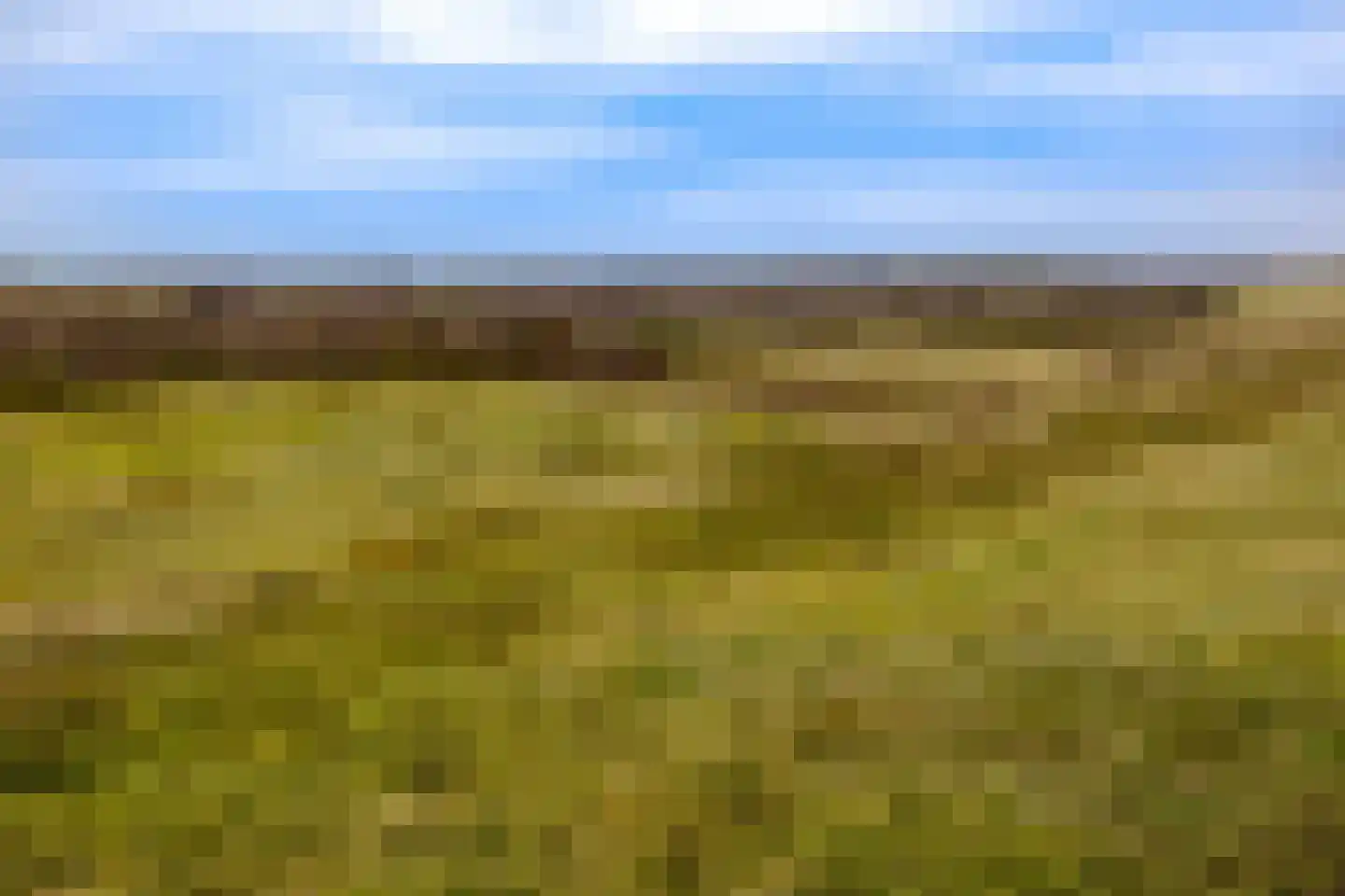 Het Oude Nieuwland 150 Ouddorp thumbnail 63