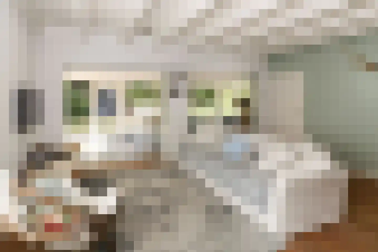 Het Oude Nieuwland 155 Ouddorp thumbnail 10
