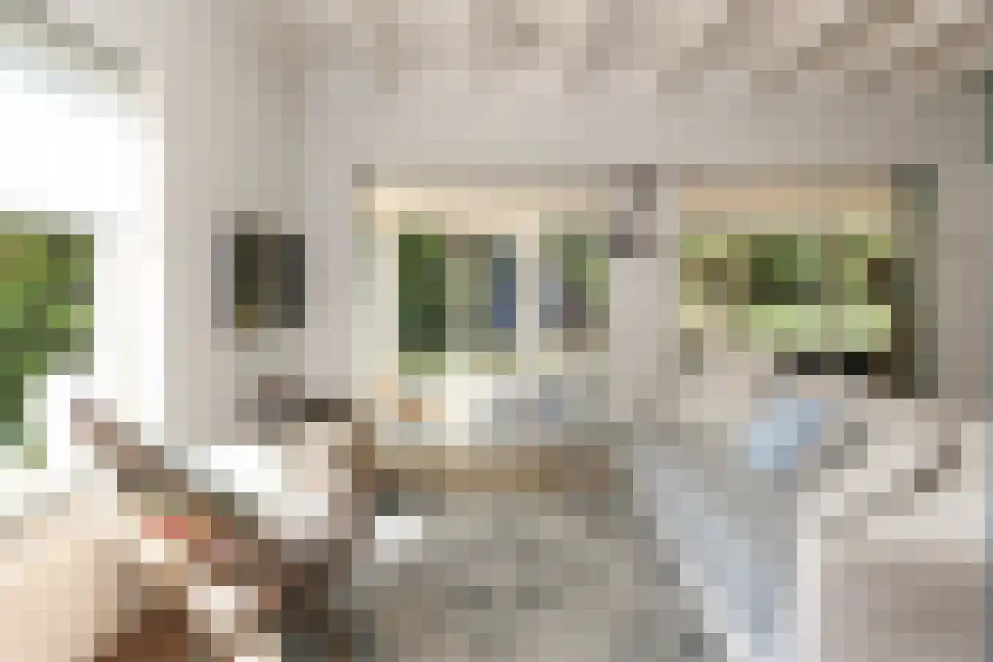 Het Oude Nieuwland 155 Ouddorp thumbnail 12