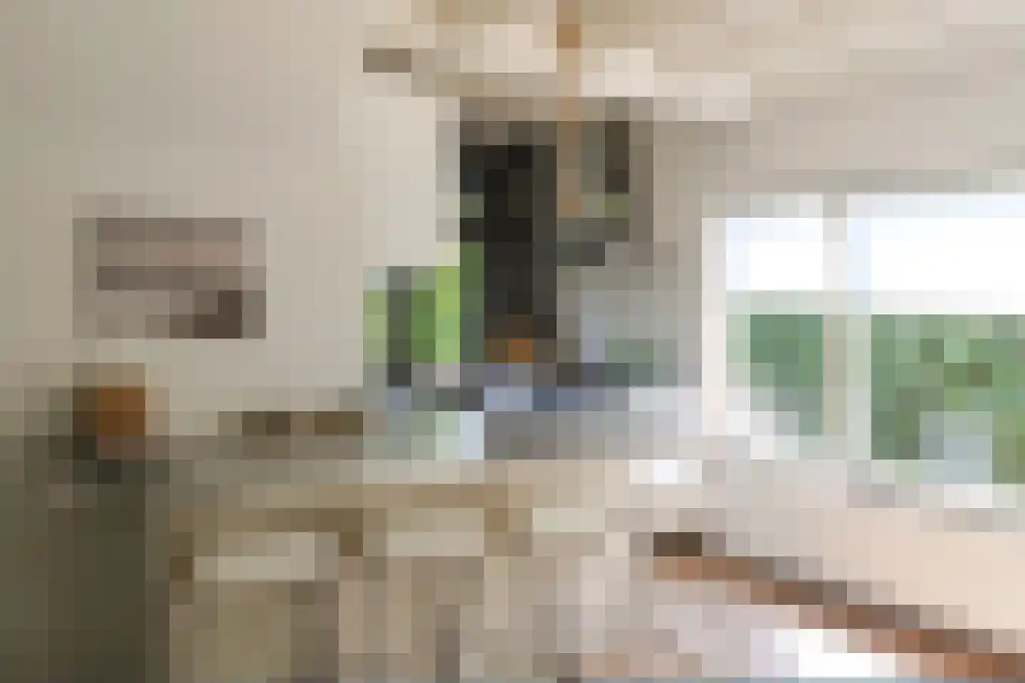 Het Oude Nieuwland 155 Ouddorp thumbnail 16