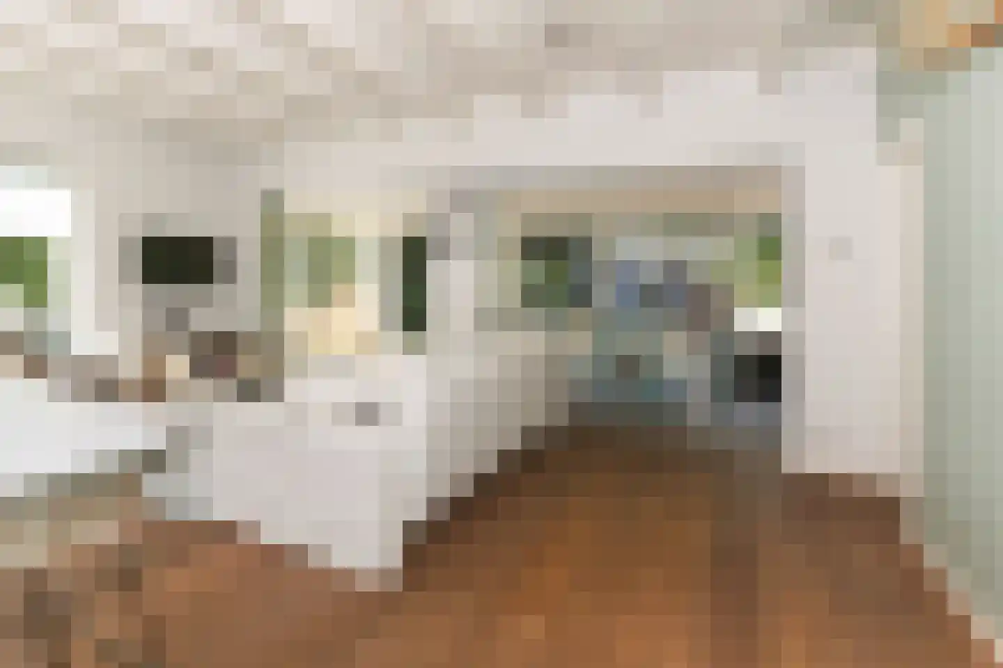 Het Oude Nieuwland 155 Ouddorp thumbnail 17