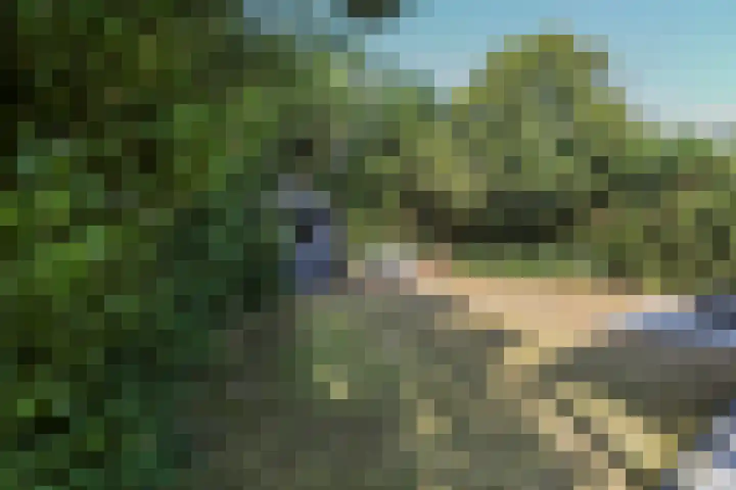 Het Oude Nieuwland 155 Ouddorp thumbnail 35