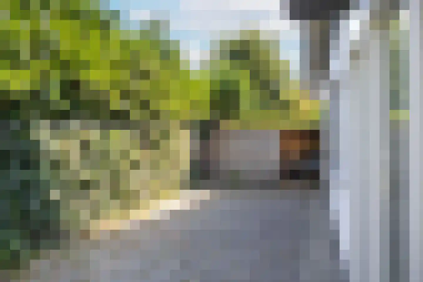Het Oude Nieuwland 155 Ouddorp thumbnail 37