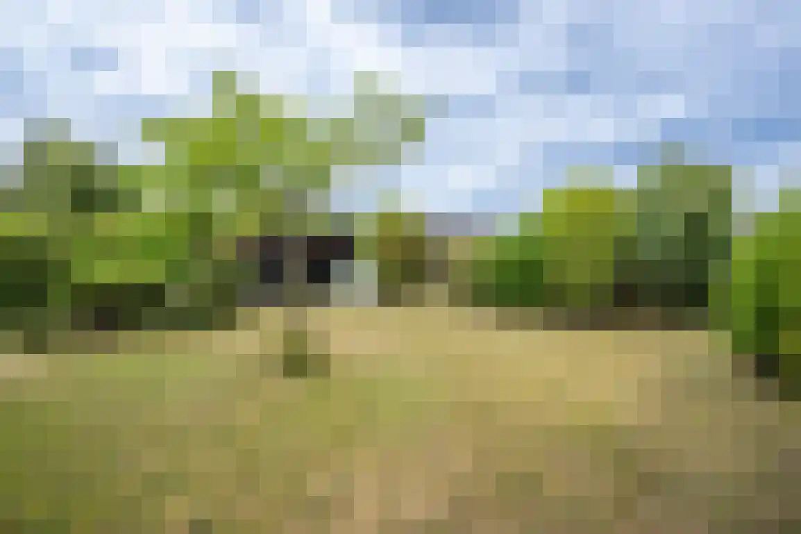 Het Oude Nieuwland 157 Ouddorp thumbnail 24