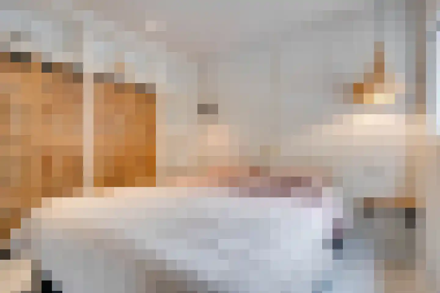 Het Oude Nieuwland 22 Ouddorp thumbnail 13