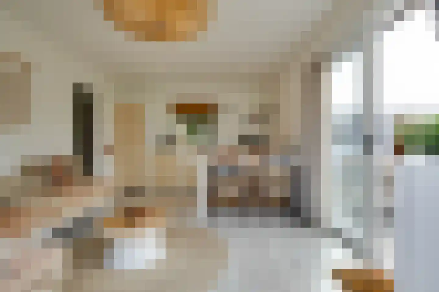 Het Oude Nieuwland 22 Ouddorp thumbnail 4