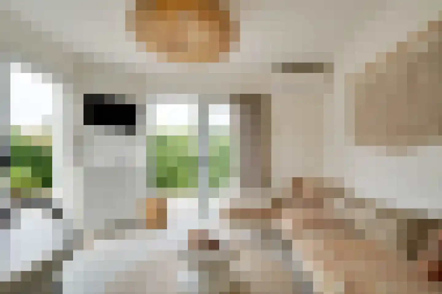 Het Oude Nieuwland 22 Ouddorp thumbnail 5