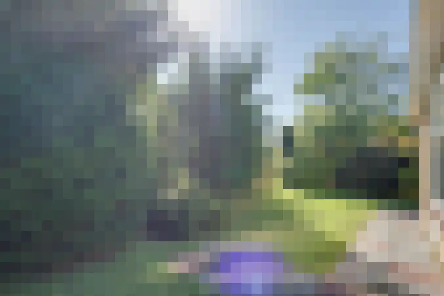 Het Oude Nieuwland 30 Ouddorp thumbnail 9