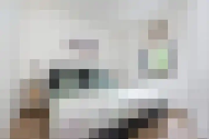 Het Oude Nieuwland 54 Ouddorp thumbnail 11