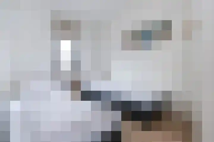 Het Oude Nieuwland 54 Ouddorp thumbnail 12