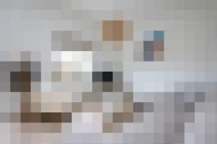 Het Oude Nieuwland 54 Ouddorp thumbnail 17