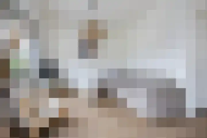 Het Oude Nieuwland 54 Ouddorp thumbnail 18