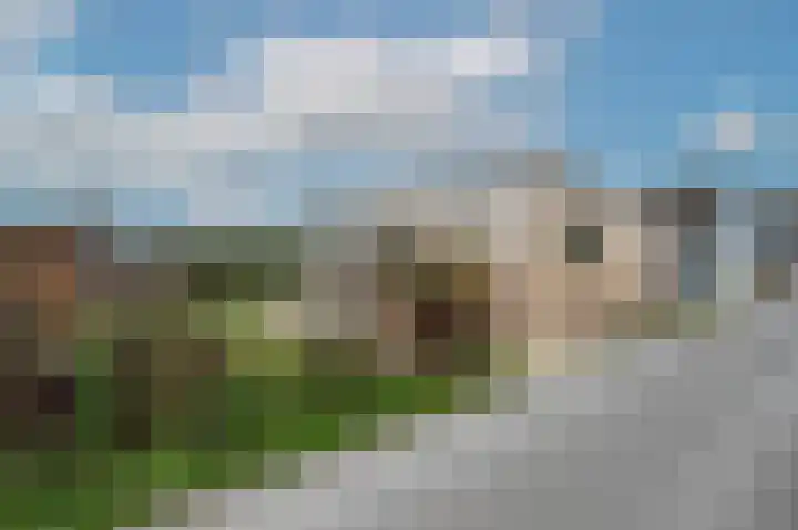 Het Oude Nieuwland 54 Ouddorp thumbnail 5