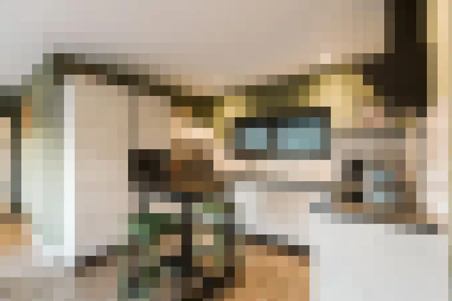 Het Oude Nieuwland 56 Ouddorp thumbnail 10