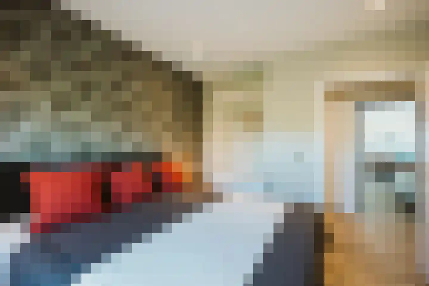 Het Oude Nieuwland 56 Ouddorp thumbnail 26