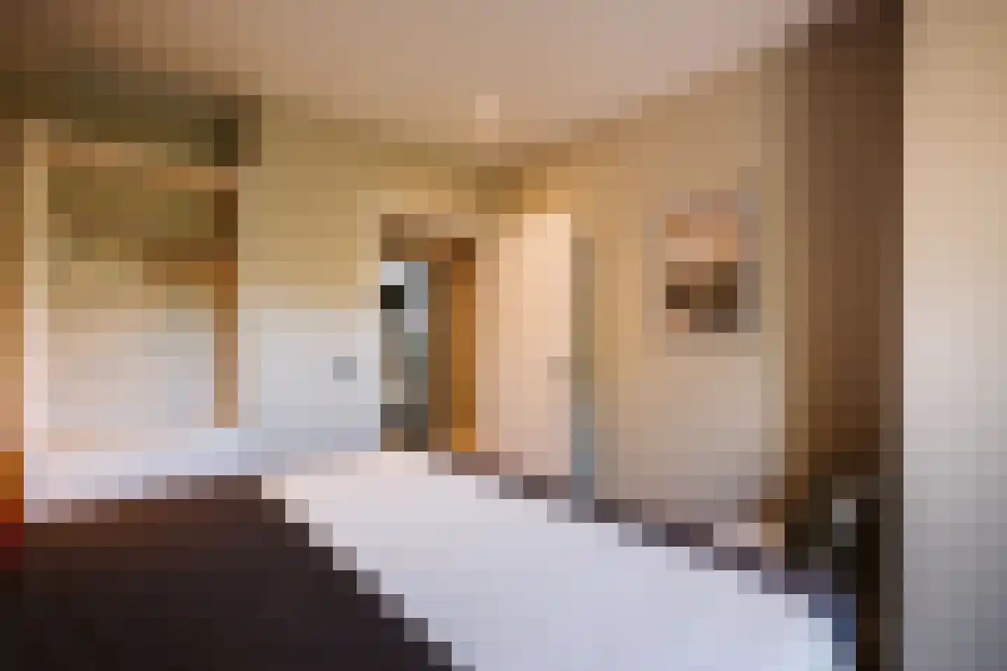 Het Oude Nieuwland 56 Ouddorp thumbnail 27