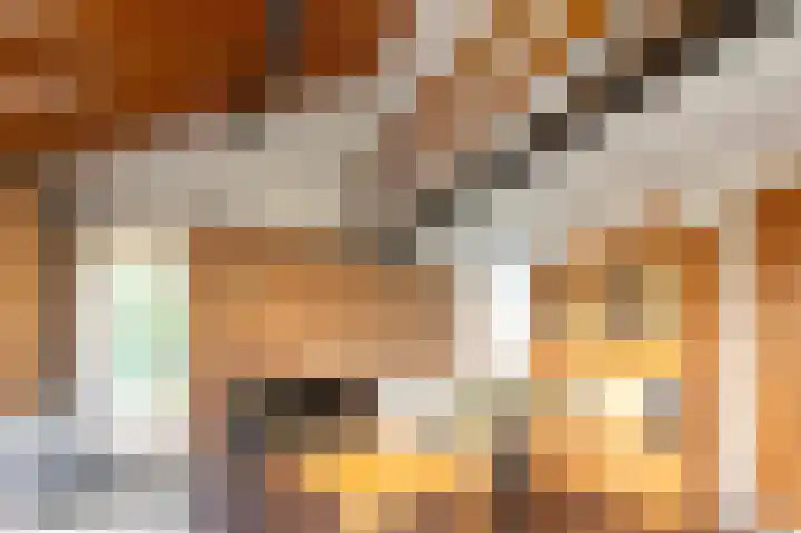 Het Oude Nieuwland 6 Ouddorp thumbnail 10