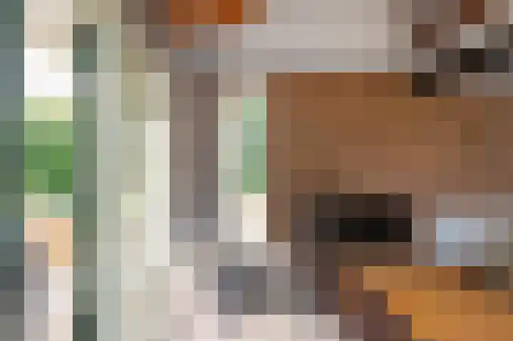Het Oude Nieuwland 6 Ouddorp thumbnail 13
