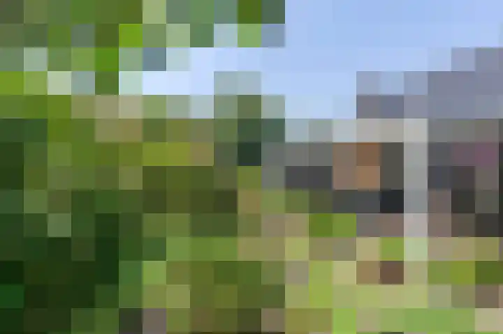 Het Oude Nieuwland 6 Ouddorp thumbnail 24