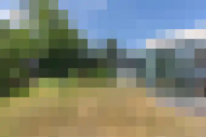 Het Oude Nieuwland 6 Ouddorp thumbnail 26