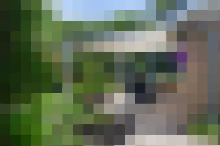Het Oude Nieuwland 6 Ouddorp thumbnail 6