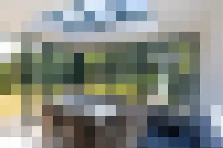 Het Oude Nieuwland 6 Ouddorp thumbnail 8