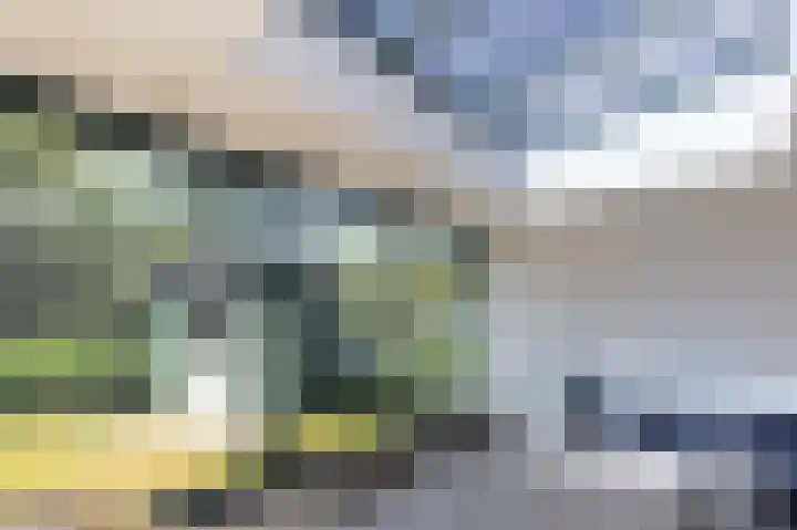 Het Oude Nieuwland 6 Ouddorp thumbnail 9