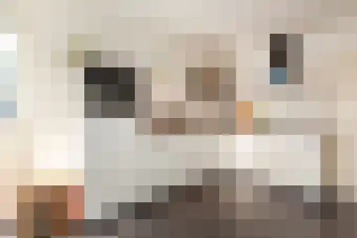 Het Oude Nieuwland 78 Ouddorp thumbnail 15