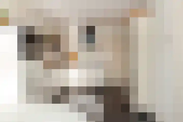Het Oude Nieuwland 78 Ouddorp thumbnail 16