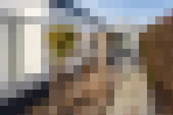 Het Oude Nieuwland 78 Ouddorp thumbnail 22