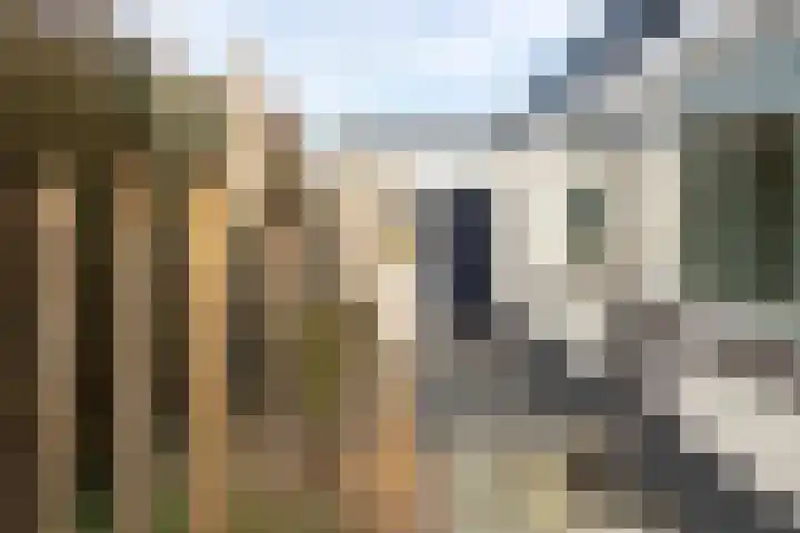 Het Oude Nieuwland 78 Ouddorp thumbnail 38