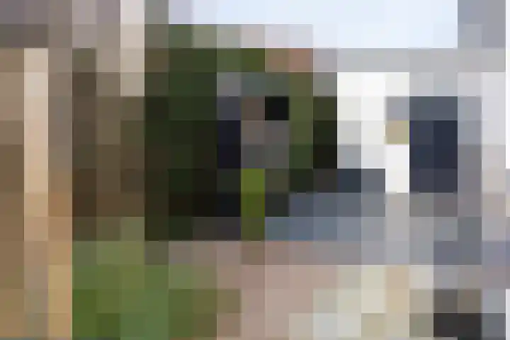 Het Oude Nieuwland 78 Ouddorp thumbnail 39