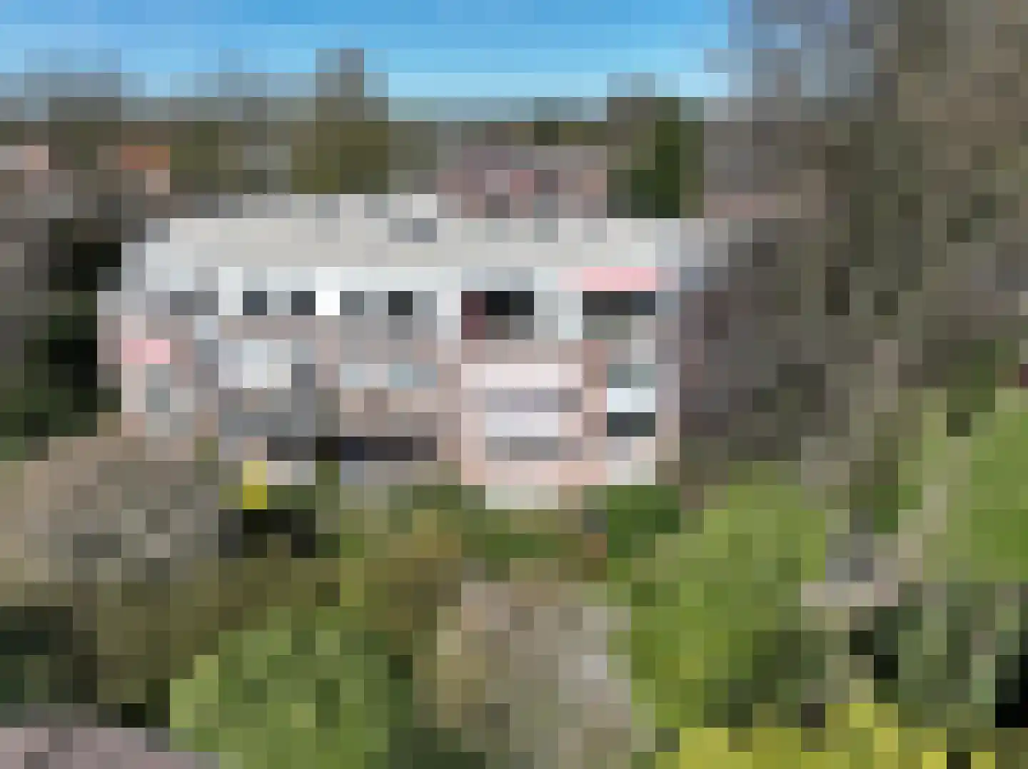 Het Oude Raadhuis 41 Soest