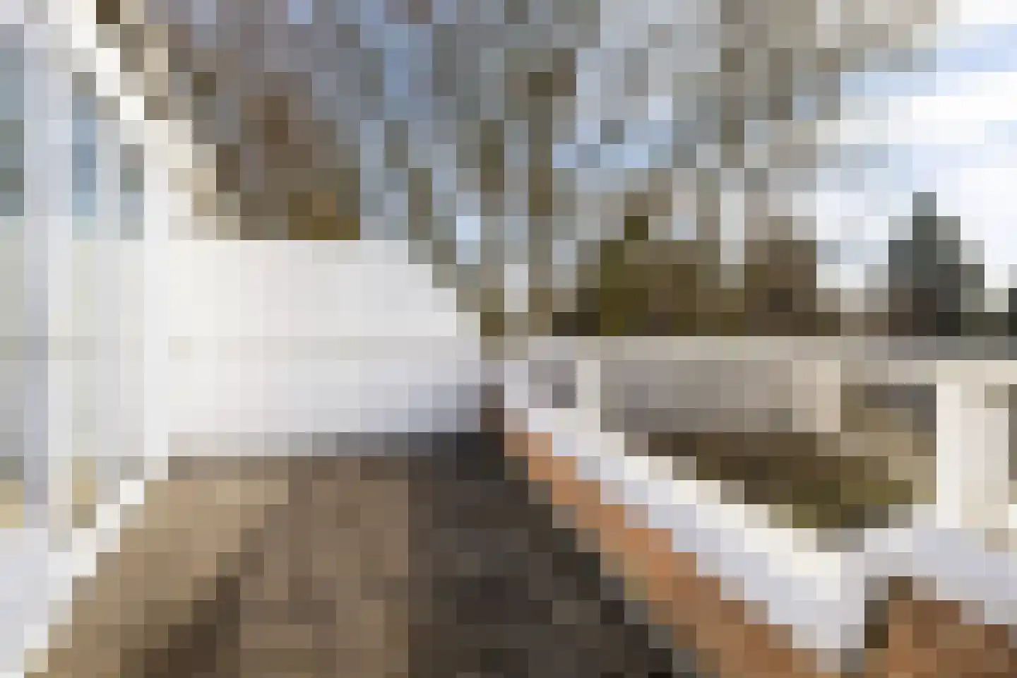 Het Oude Raadhuis 41 Soest thumbnail 5