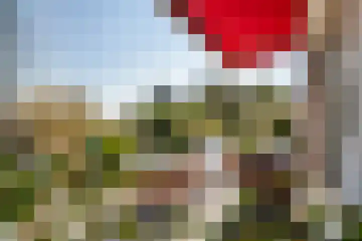 Het Oudland 13 Hoogblokland thumbnail 13