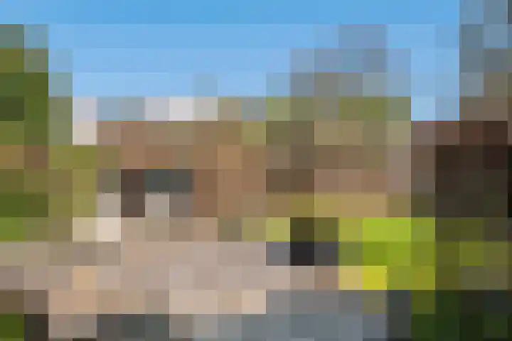 Het Oudland 13 Hoogblokland thumbnail 15