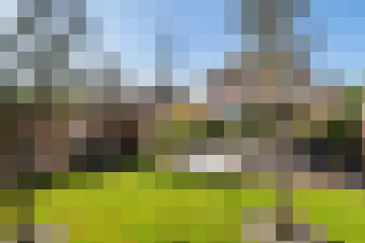 Het Oudland 13 Hoogblokland thumbnail 16