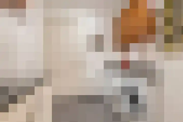 Het Oudland 13 Hoogblokland thumbnail 23