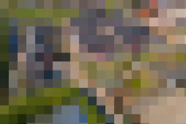 Het Oudland 13 Hoogblokland thumbnail 4