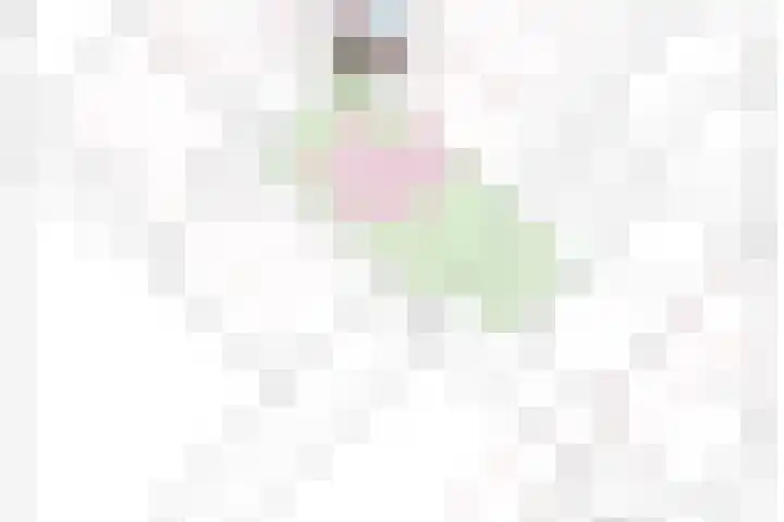 Het Oudland 13 Hoogblokland thumbnail 44