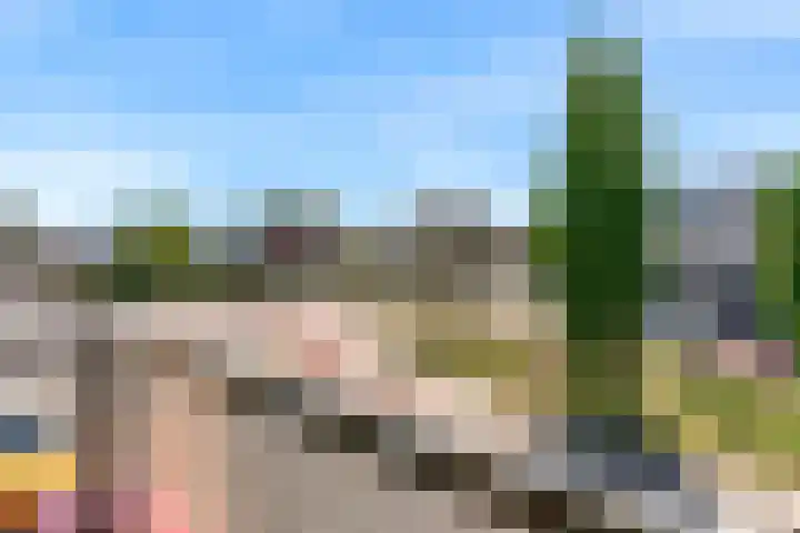 Het Palet 6 Limmen thumbnail 18