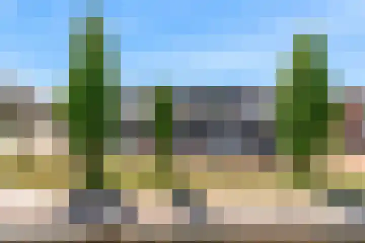Het Palet 6 Limmen thumbnail 19