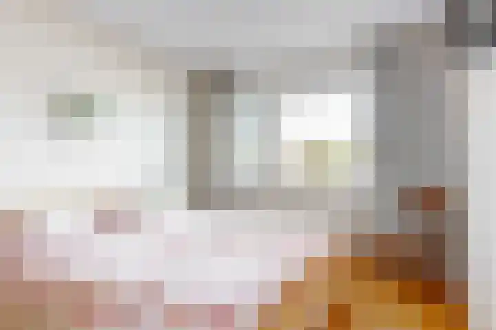 Het Palet 6 Limmen thumbnail 21