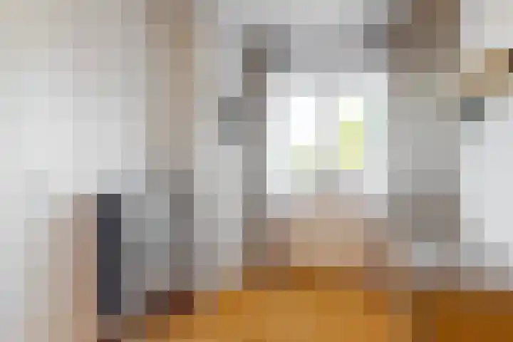 Het Palet 6 Limmen thumbnail 23