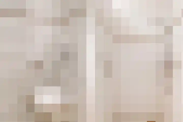Het Palet 6 Limmen thumbnail 28