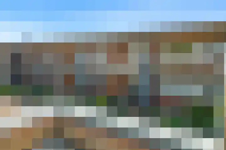 Het Palet 6 Limmen thumbnail 31